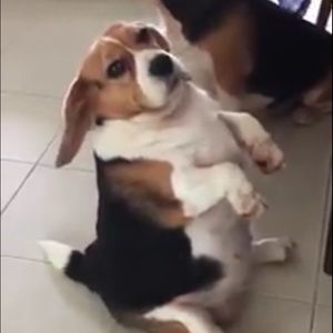 Meet your Posher, Kevin